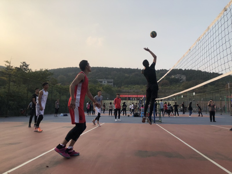 球速体育稳定线路