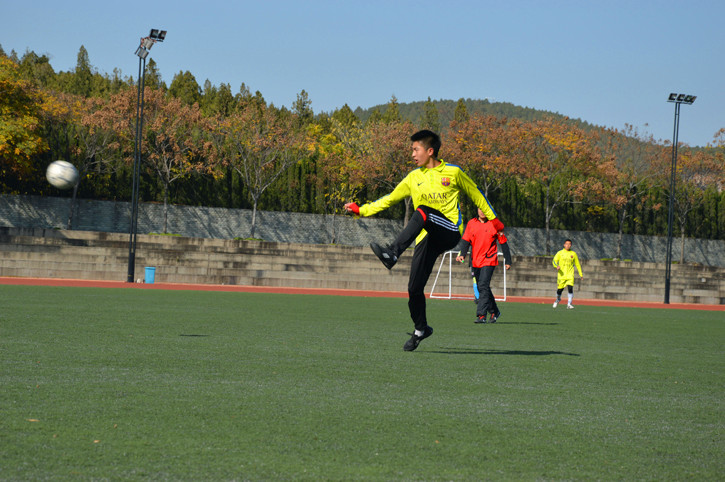 球速体育指定通道图片