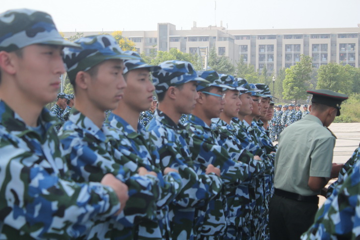 球速体育平台图片