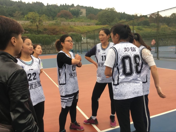 球速体育稳定线路