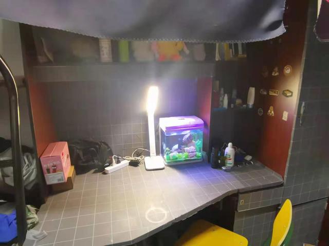 球速体育手机版