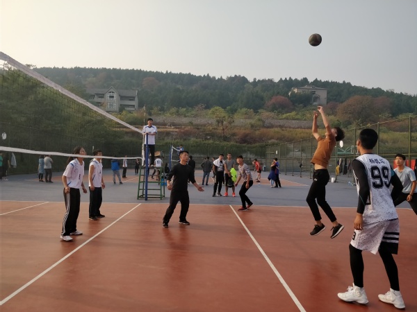 球速体育官方线路