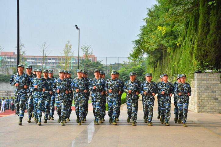球速体育客户端图片