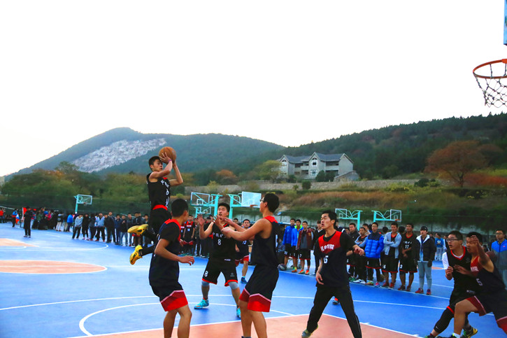 球速体育指定通道图片
