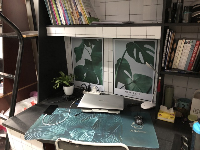 球速体育APP下载
