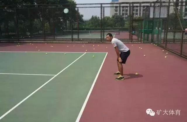 球速体育平台图片