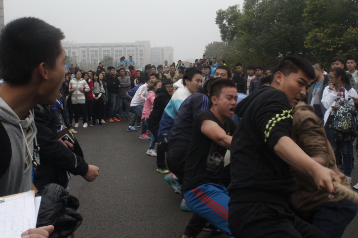 球速体育备用网址图片