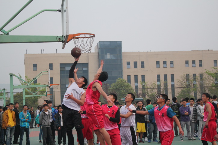 球速体育欧冠直播图片