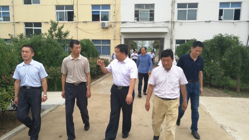 球速体育备用网址