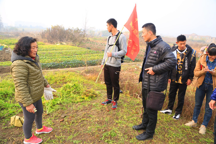 球速体育欧冠直播图片