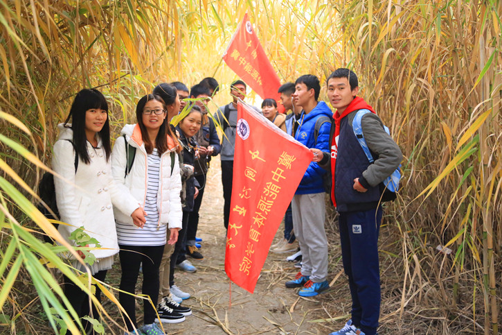 球速体育指定入口图片