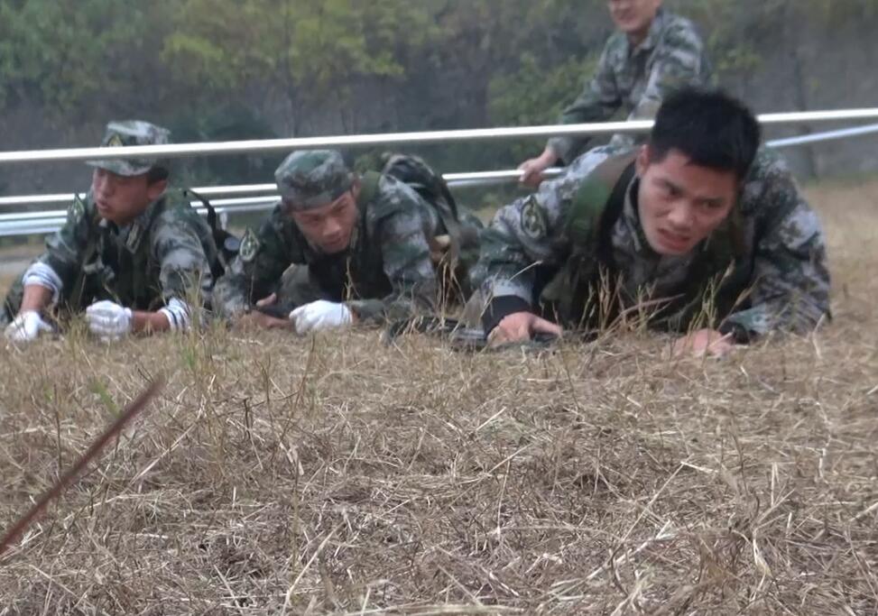 球速体育超级联赛图片