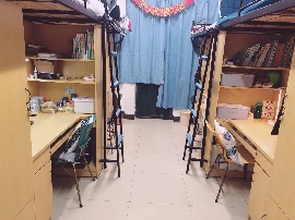 球速体育体育频道