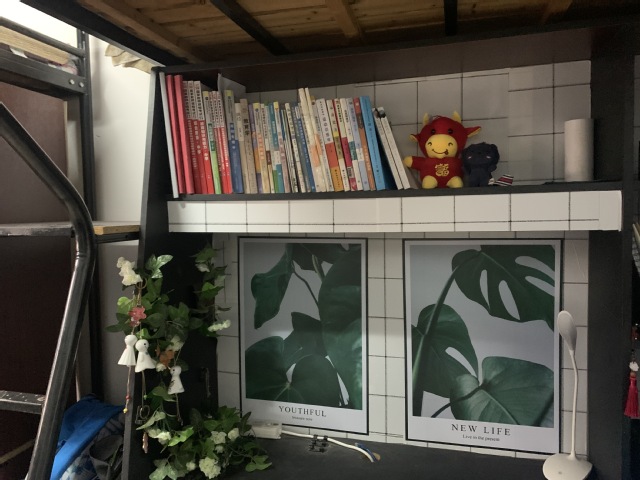 球速体育APP下载