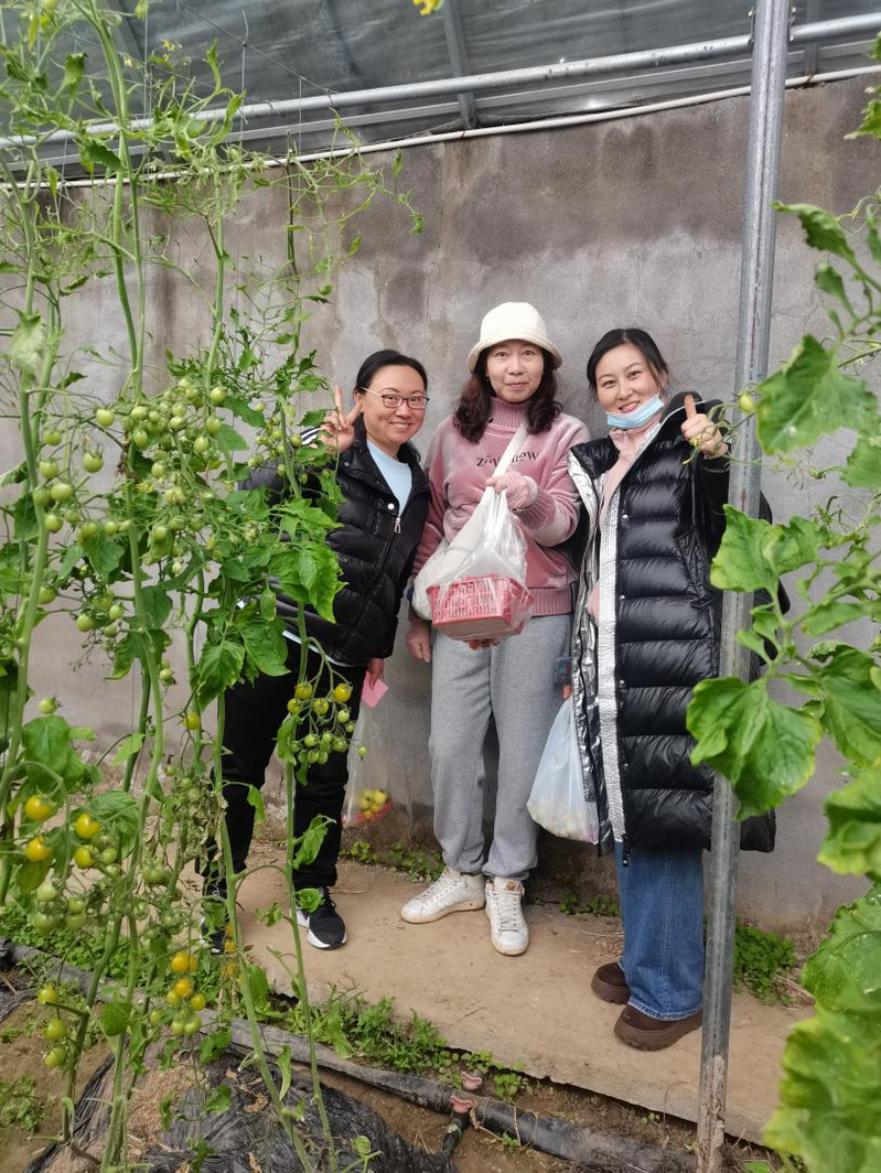 球速体育客户端