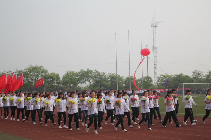 球速体育赛事资讯平台图片