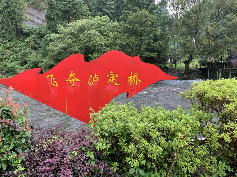 球速体育直播