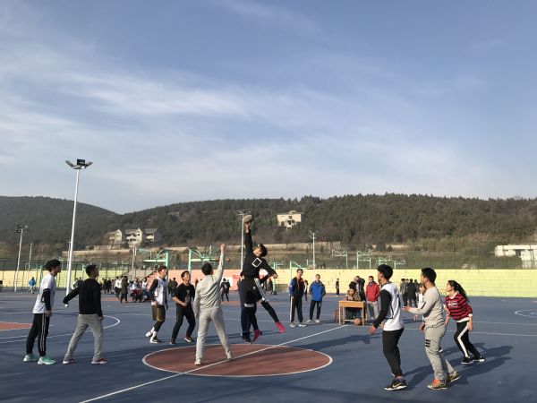 球速体育指定入口