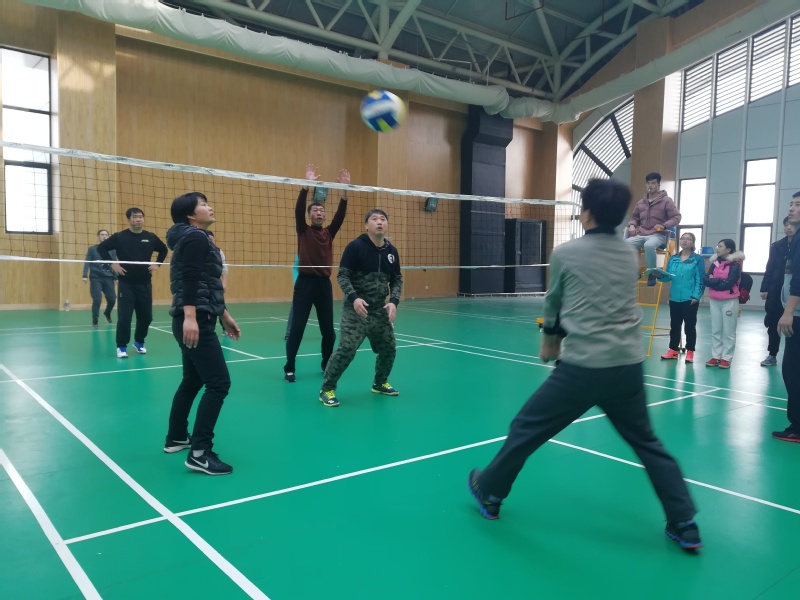 球速体育官方指定端
