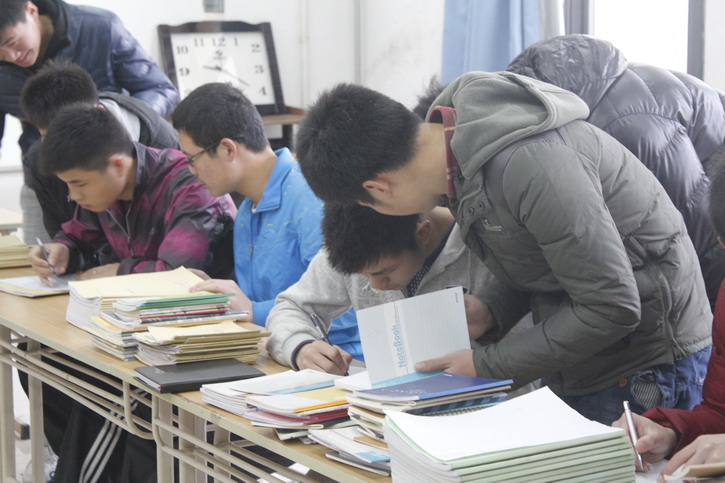 球速体育直播图片