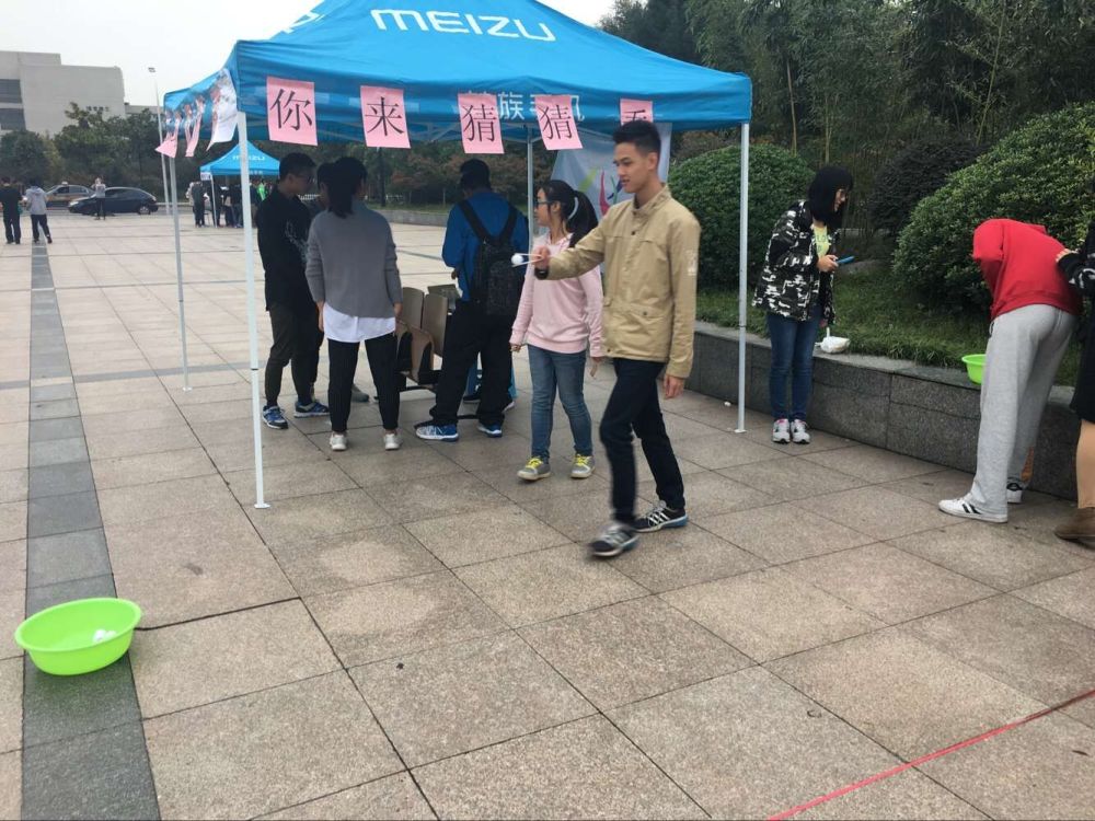 球速体育指定通道图片