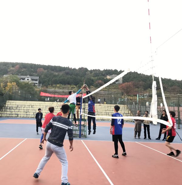 球速体育安全通道