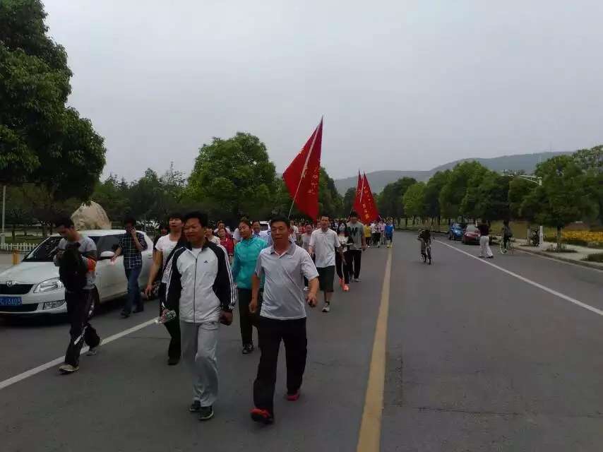 球速体育平台图片