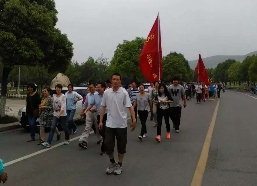 球速体育平台图片