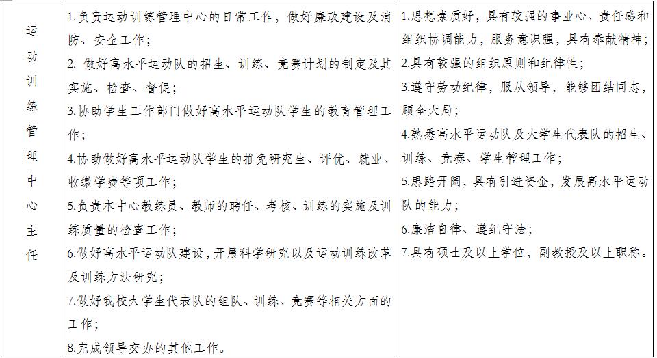 球速体育欧洲杯图片