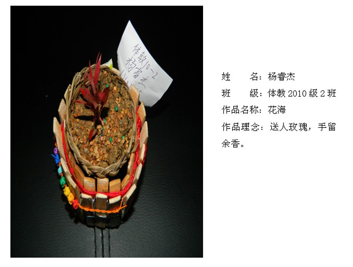 球速体育官方线路图片