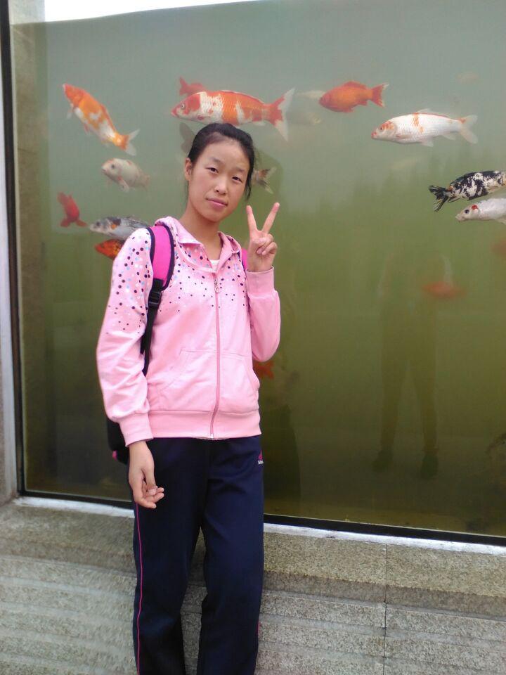 球速体育核心通道图片